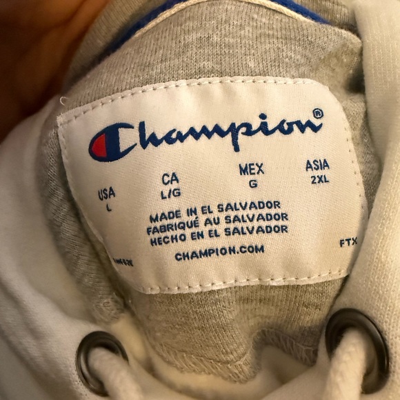 Men's Champion® Midweight Hoodie With Full Script Logo Size Large - Picture 5 of 6